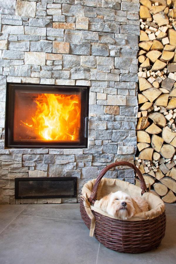 Alpine Golica Holiday home