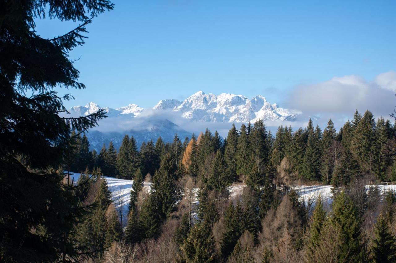 Holiday home Alpine Golica Jesenice
