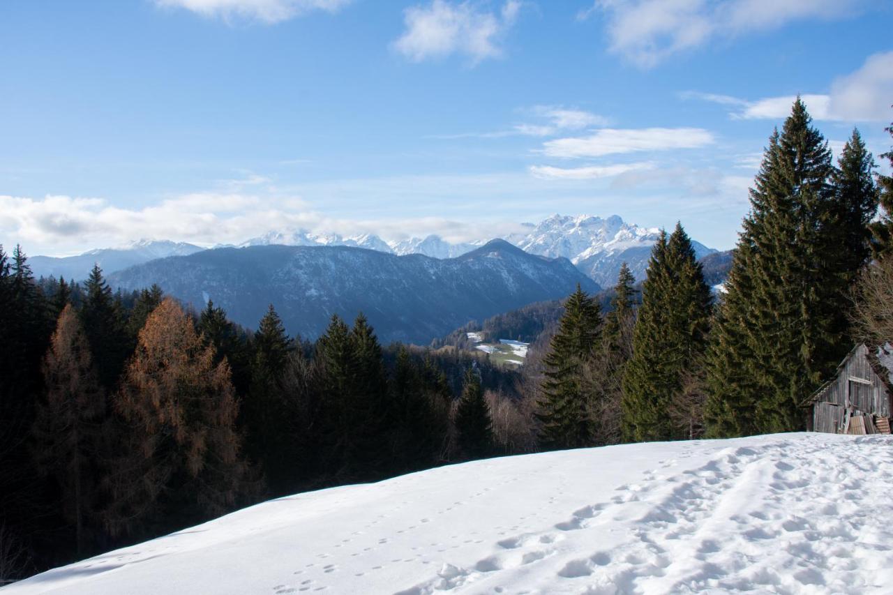 Holiday home Alpine Golica Jesenice