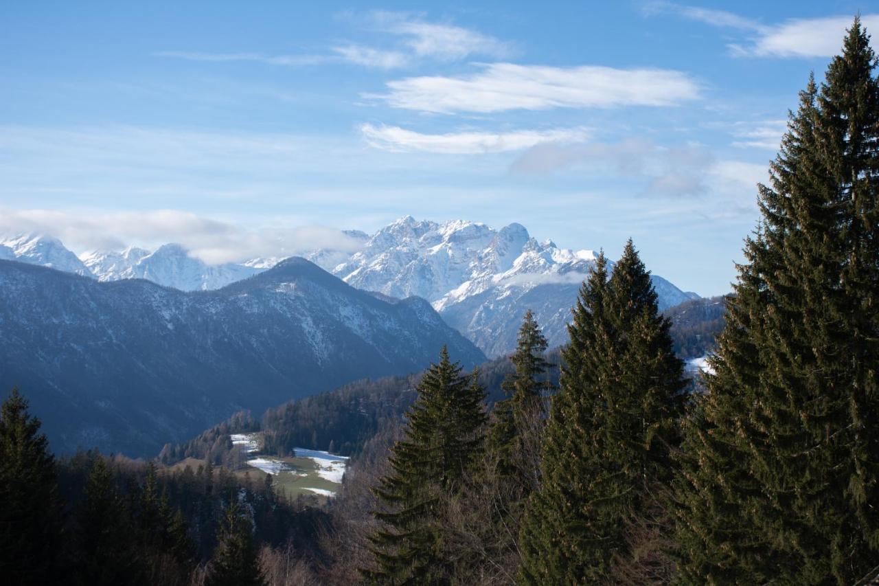 Alpine Golica Holiday home