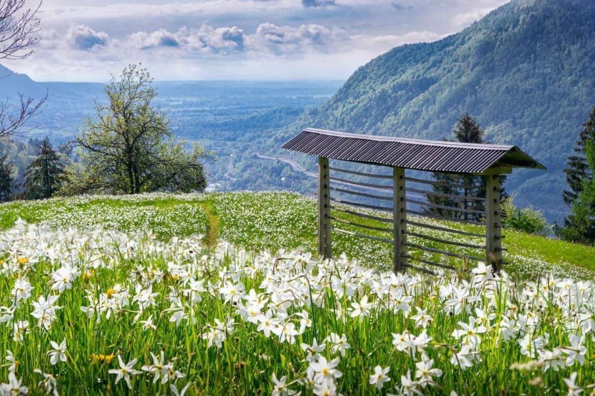Alpine Golica Holiday home