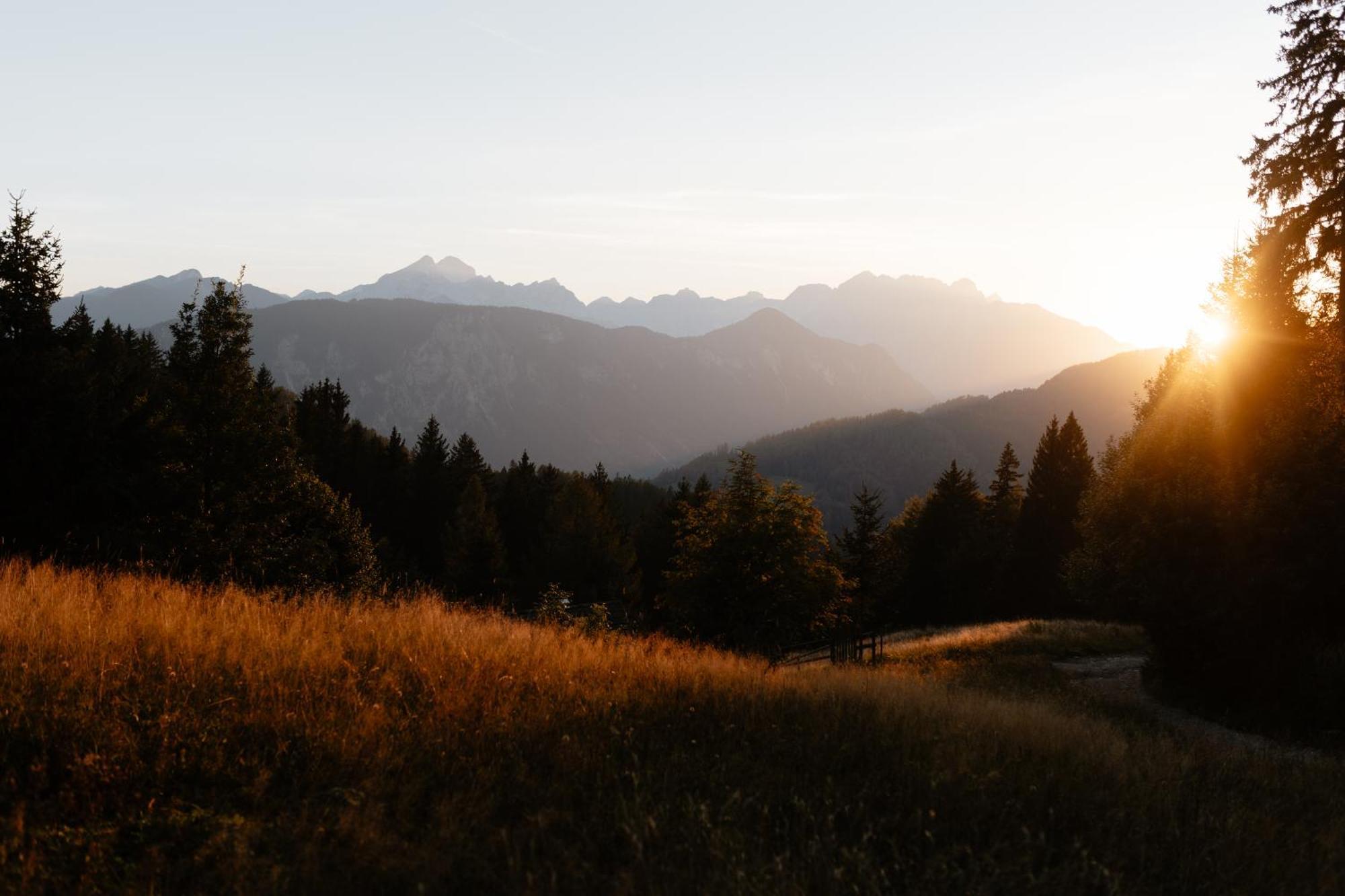 Alpine Golica