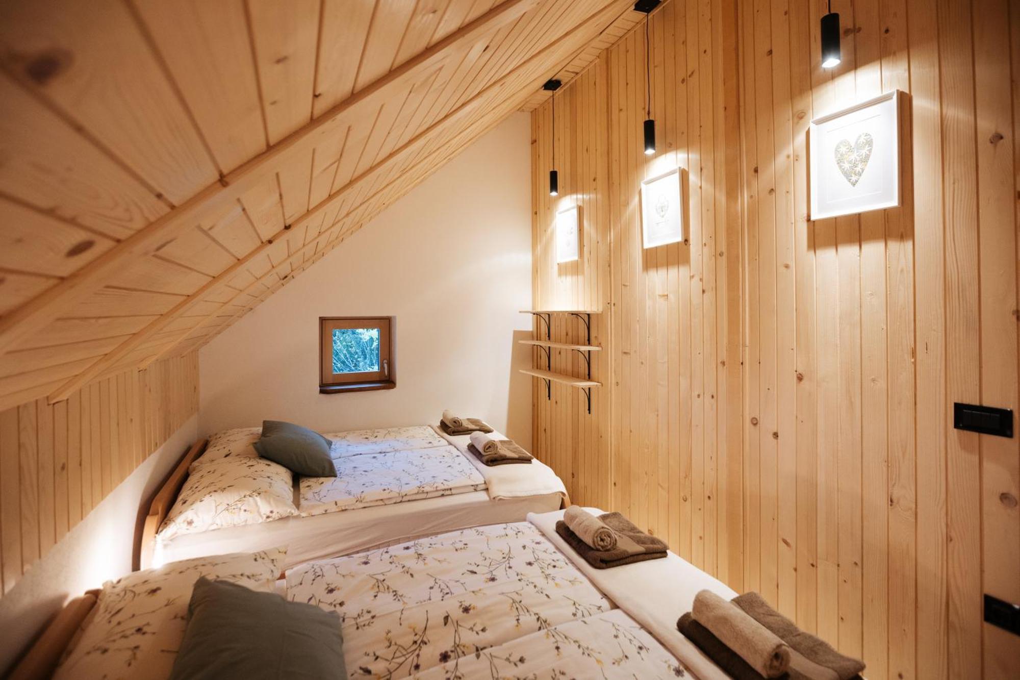 Alpine Golica Holiday home *